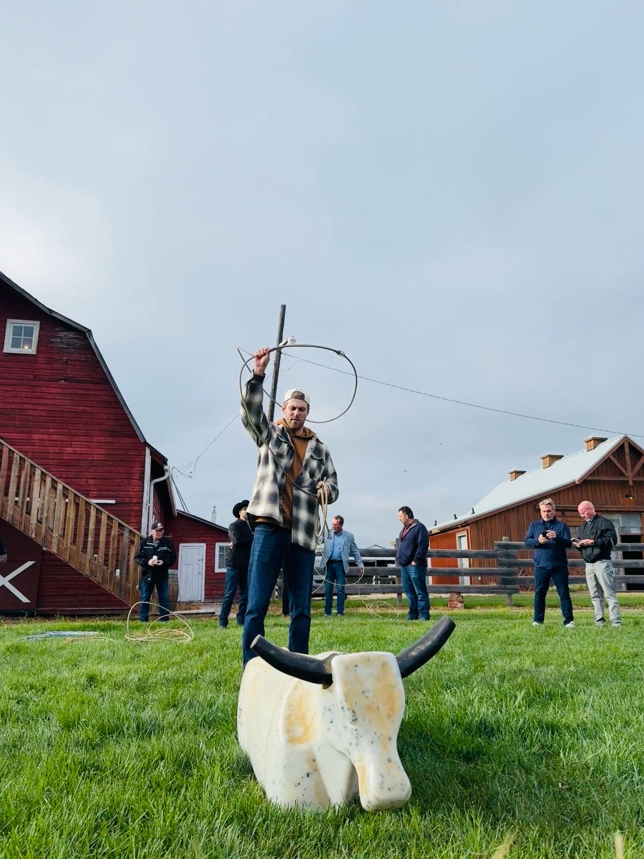 Learning to lasso together